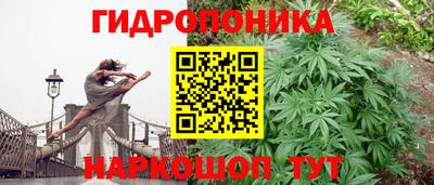 дживик Аргун