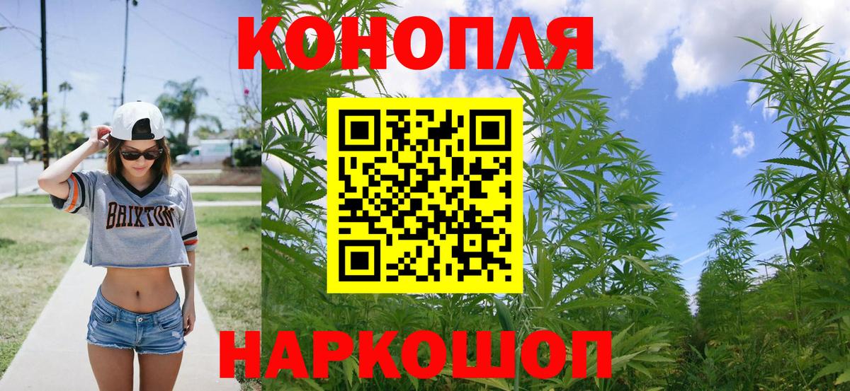 Каннабис план Балабаново